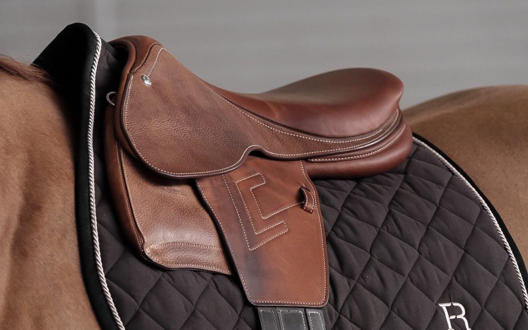 Renaissance koulutus