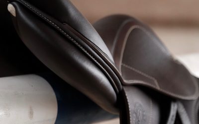 Tiedote: EHV-1 ja toimintatapamme