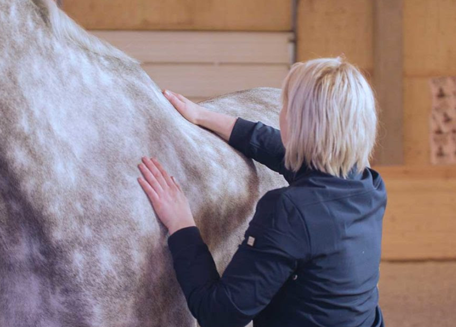 Nyt on hyvä aika tarkastaa satula