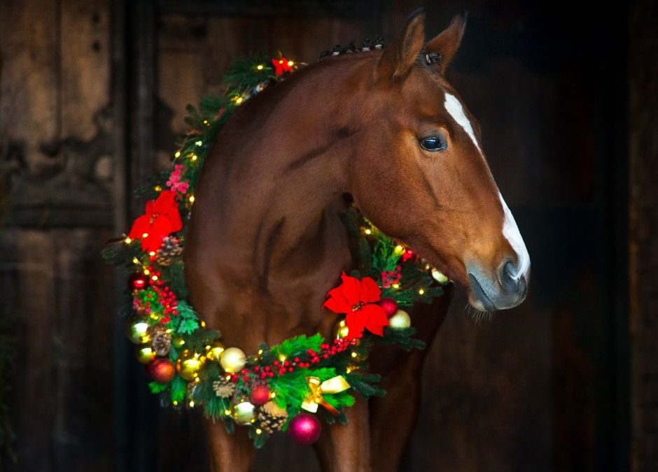 Osta satula joulukuussa – saat lahjakortin