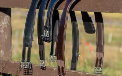 Uusia satulavöitä yhteistyössä Wahlsténin kanssa